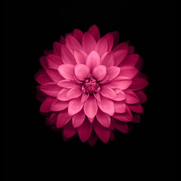 Meet your Posher, Angela - Picture 1 of 1